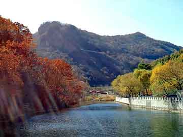 管家婆黑白马报图库，泛目录权重